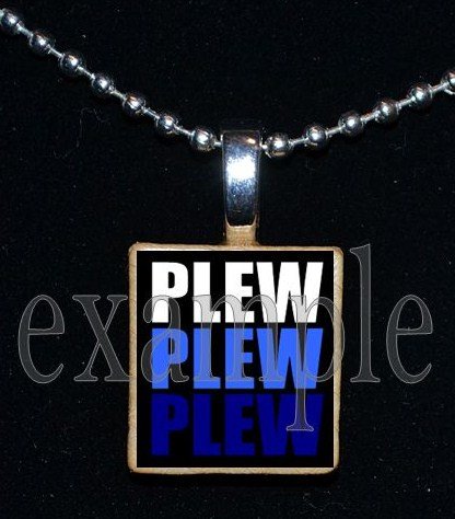 JAMES E PLEW PANTHERS Elementary School Team Mascot Pendant Necklace Charm or Keychain