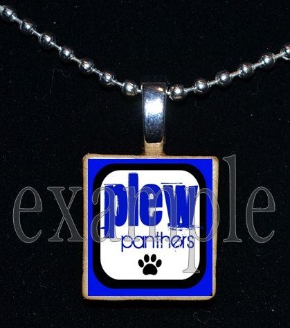 JAMES E PLEW PANTHERS Elementary School Team Mascot Pendant Necklace Charm or Keychain