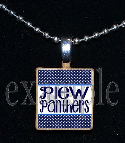 JAMES E PLEW PANTHERS Elementary School Team Mascot Pendant Necklace Charm or Keychain