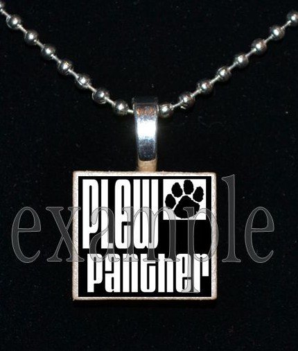 JAMES E PLEW PANTHERS Elementary School Team Mascot Pendant Necklace Charm or Keychain