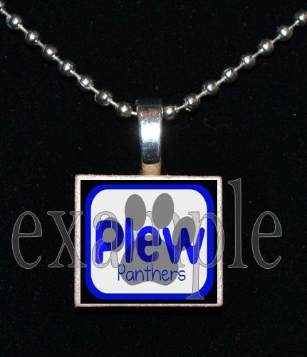 JAMES E PLEW PANTHERS Elementary School Team Mascot Pendant Necklace Charm or Keychain
