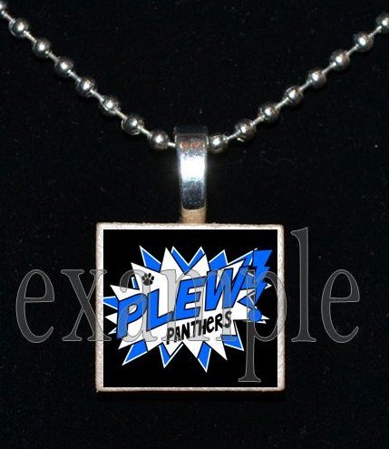 JAMES E PLEW PANTHERS Elementary School Team Mascot Pendant Necklace Charm or Keychain