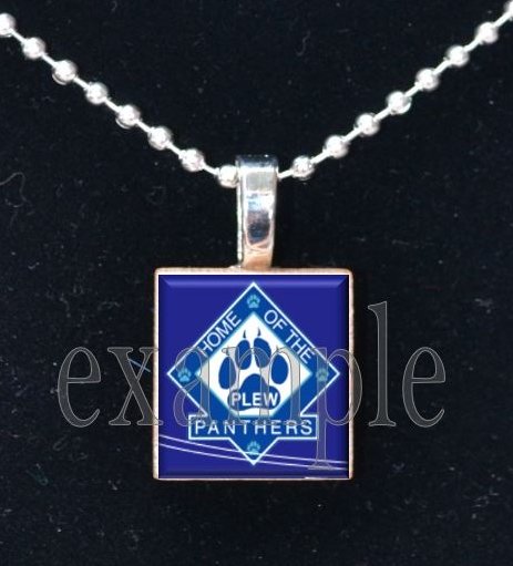 JAMES E PLEW PANTHERS Elementary School Team Mascot Pendant Necklace Charm or Keychain