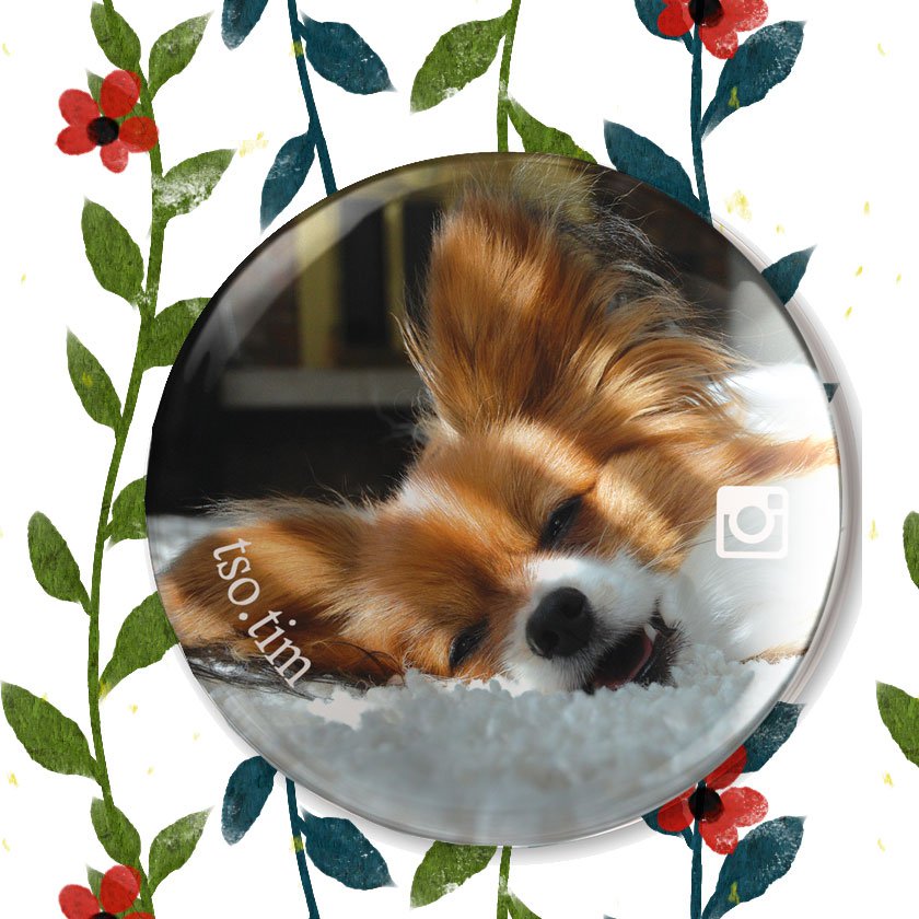 Tin Button (tso tim)