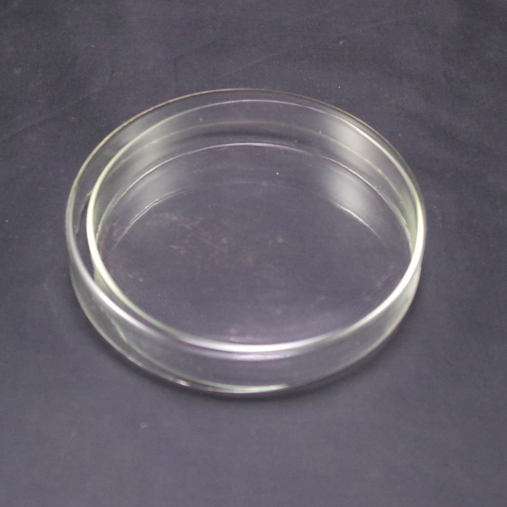 lot10 Petri dishes with lids clear glass 100mm
