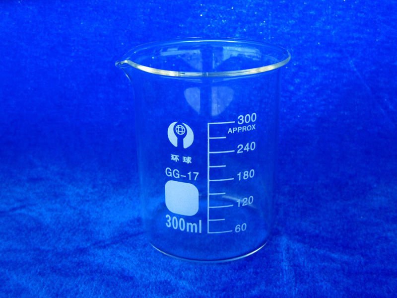 Lot5 Glass Beaker Lab Beaker Low Form 300ml