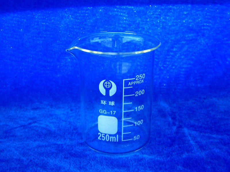 Lot5 Glass Beaker Lab Beaker Low Form 250ml