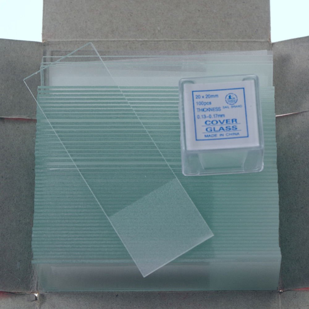 microscope slides 50pcs frosted &200pcs 20x20 cover glass slips