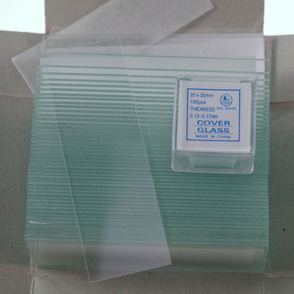 microscope slides 50pcs clear & 200pcs 20x20 cover glass slips