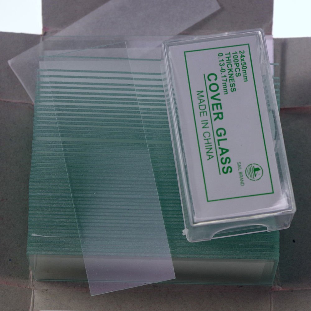 microscope slides 50pcs clear & 200pcs 24x50 cover glass slips