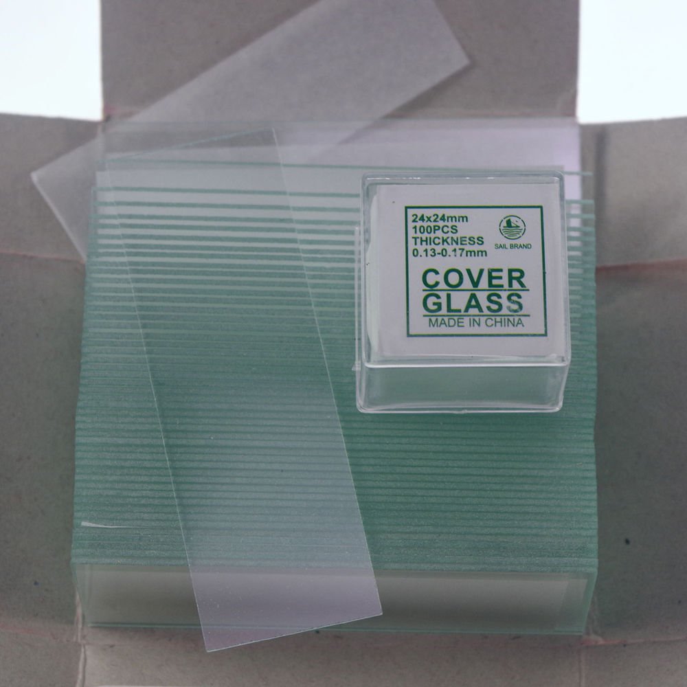 microscope slides 50pcs clear & 200pcs 24x24 cover glass slips