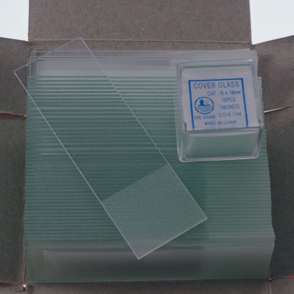 microscope slides 50pcs frosted & 200pcs 18x18 cover glass slips