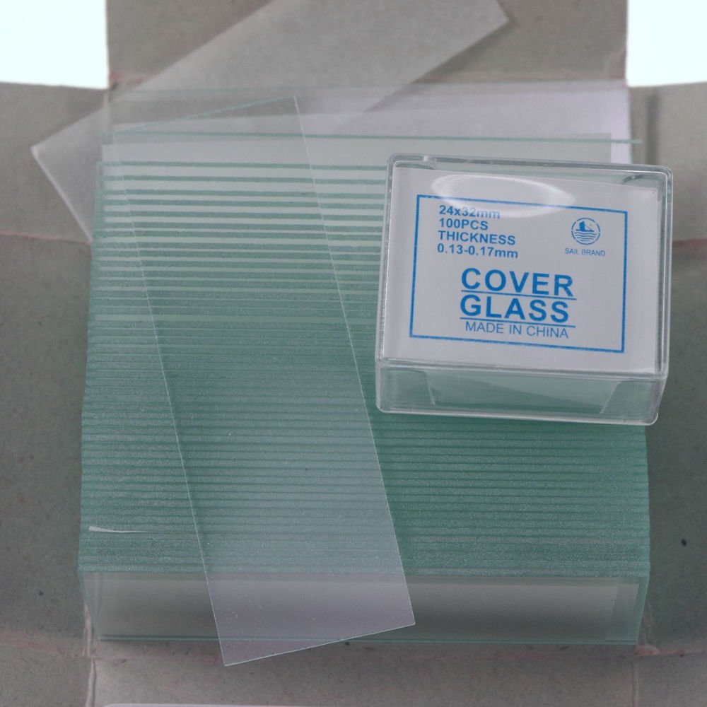 200pcs 24x32 microscope slides 50pcs clear & cover glass slips