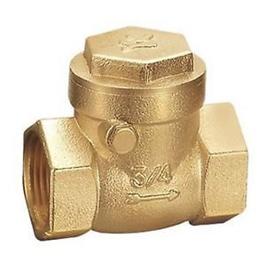 (1) Brass 1" Female BSPP Thread Swing Check Valve