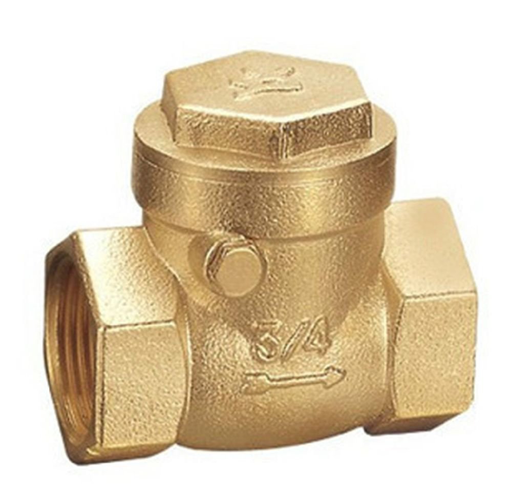 (1) Brass 3/4" Female BSPP Thread Swing Check Valve