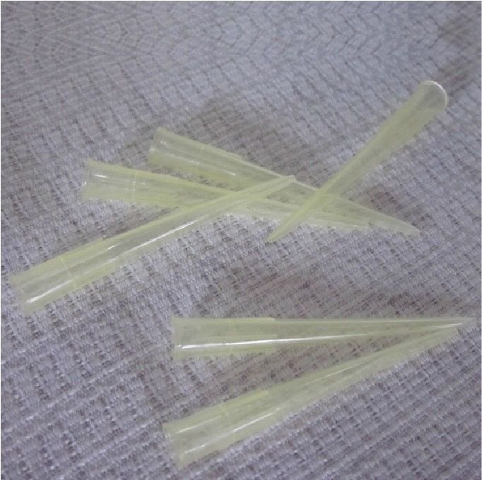 1000 PCS Pipette Tips 200ul Pipette Consumables