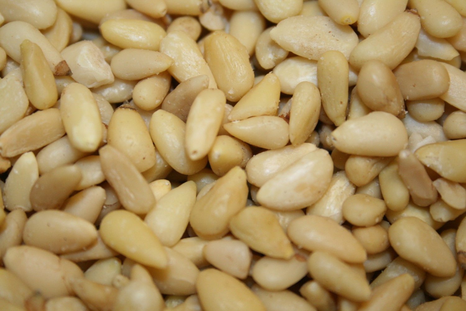 PINE NUTS/PIGNOLIAS, 1LB