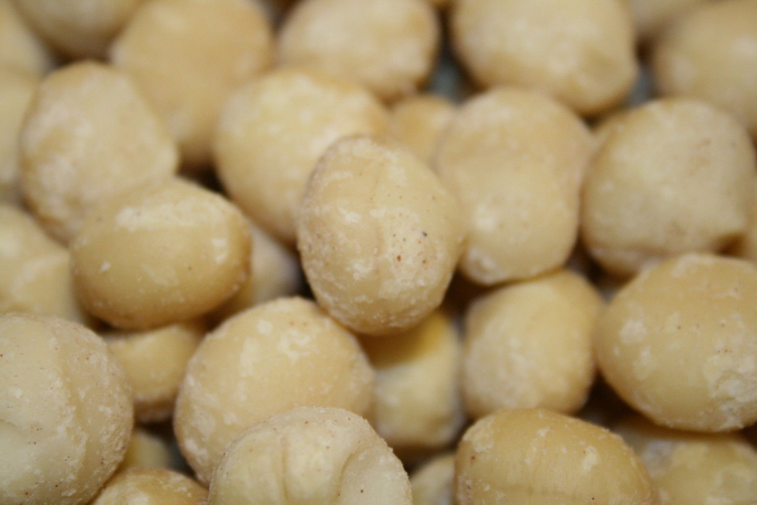 MACADAMIA NUTS RAW UNSALTED, 1LB