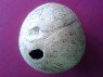 Eyed coconut shell