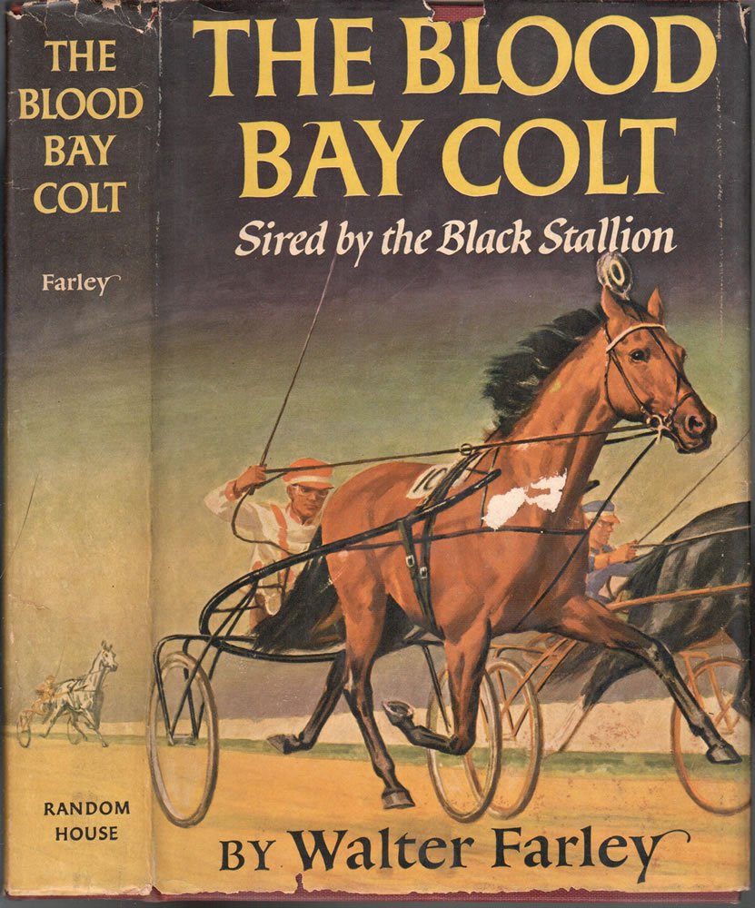 The Blood Bay Colt, Sired by the Black Stallion (Black Stallion Series #6)