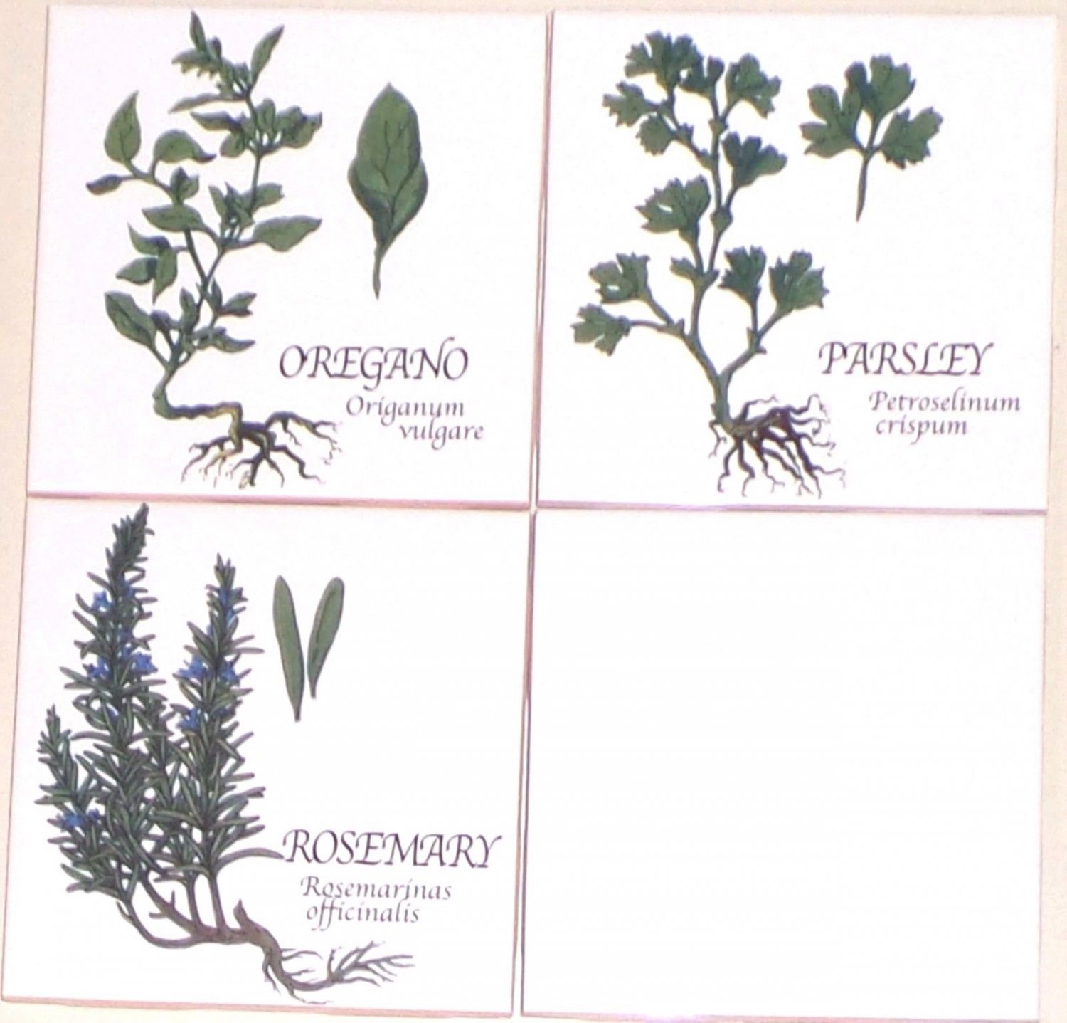 Green Herb Ceramic Tile 3 of 4.25" Oregano Rosemary Parsley Kiln Fired Decor