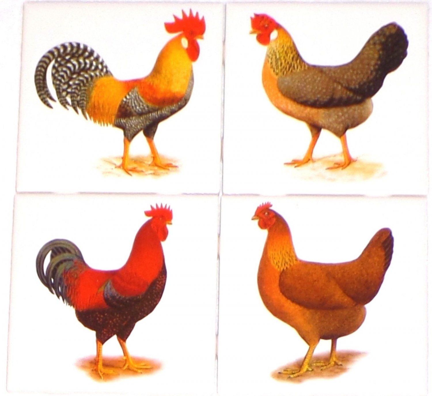 Rooster and Hen Set of 4 Ceramic Tile 4.25" Kiln Fired Back Splash Chicken