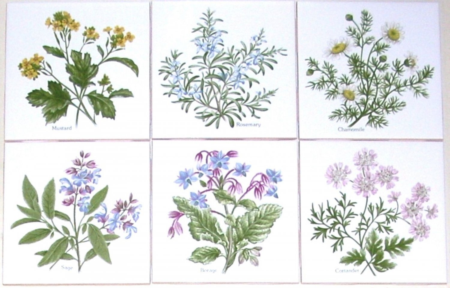 Herb Ceramic Tile 4.25" Sage Borage Rosemary Mustard Chamomile Coriander Flower