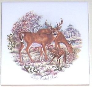 Closeout White Tail Deer Family or Herd Ceramic Tile 4.25" Kiln Fired Decor