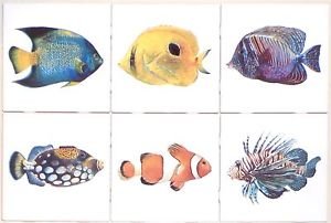 Tropical Fish Ceramic Tile 6 of 4.25" x 4.25" Kiln fired Back Splash Tile Decor