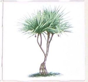 Tropical Green Palm Trees Ceramic Tile 4.25" x 4.25" Kiln Fired Decor #1