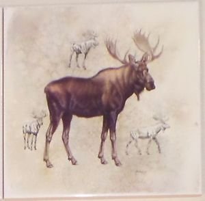Moose Ceramic Tile 6.00" x 6.00" Kiln Fired Back Splash Tile