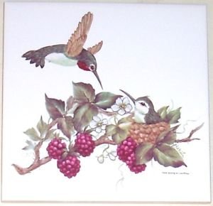 HUMMINGBIRD WITH BERRIES CERAMIC TILE 6" X 6" KILN FIRED DECOR