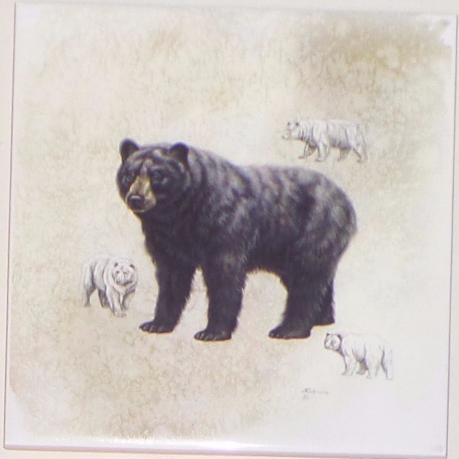 Bear Ceramic Tile 4.25" x 4.25" Kiln Fired Wild Life Decor
