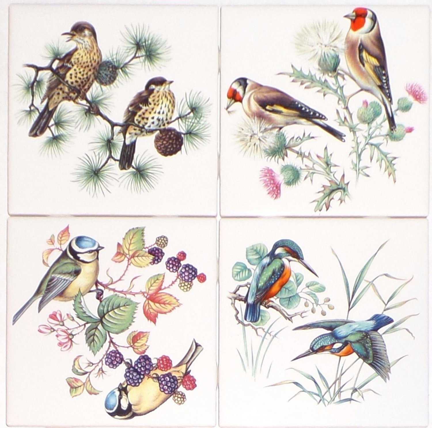 Thrush Finch Song Birds set of 4 Ceramic Tile 4.25" x 4.25" Kiln Fired Decor