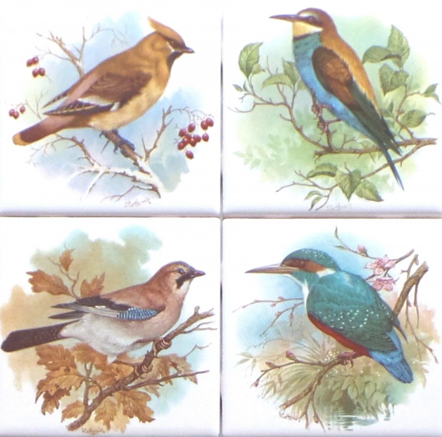 Beautiful Birds Ceramic Tile set 4 of 4.25" x 4.25" Kiln Fired Song Bird Decor
