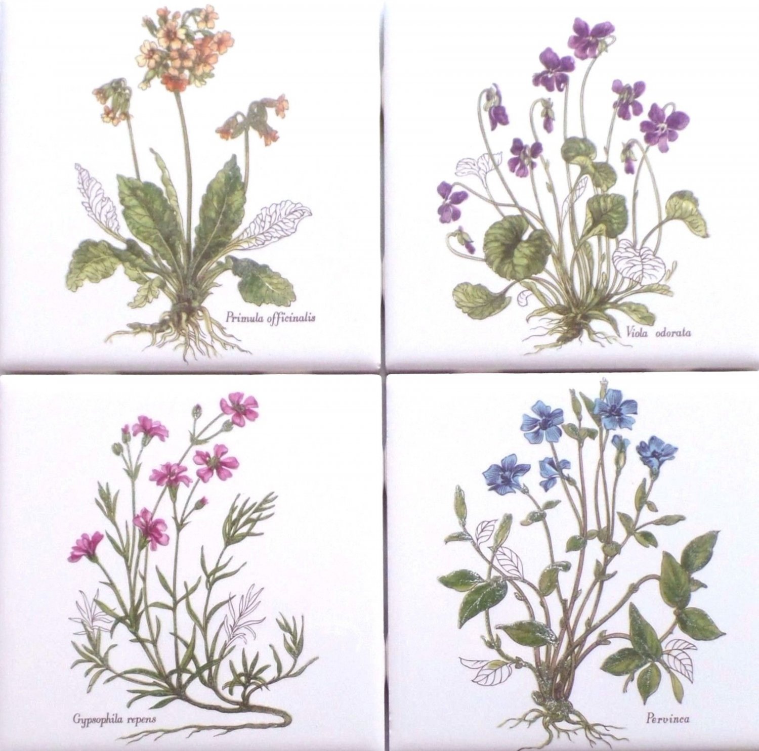 Herb Ceramic Tile 4.25" x 4.25" Primula Officianalis set of 4 Flower Kiln fired