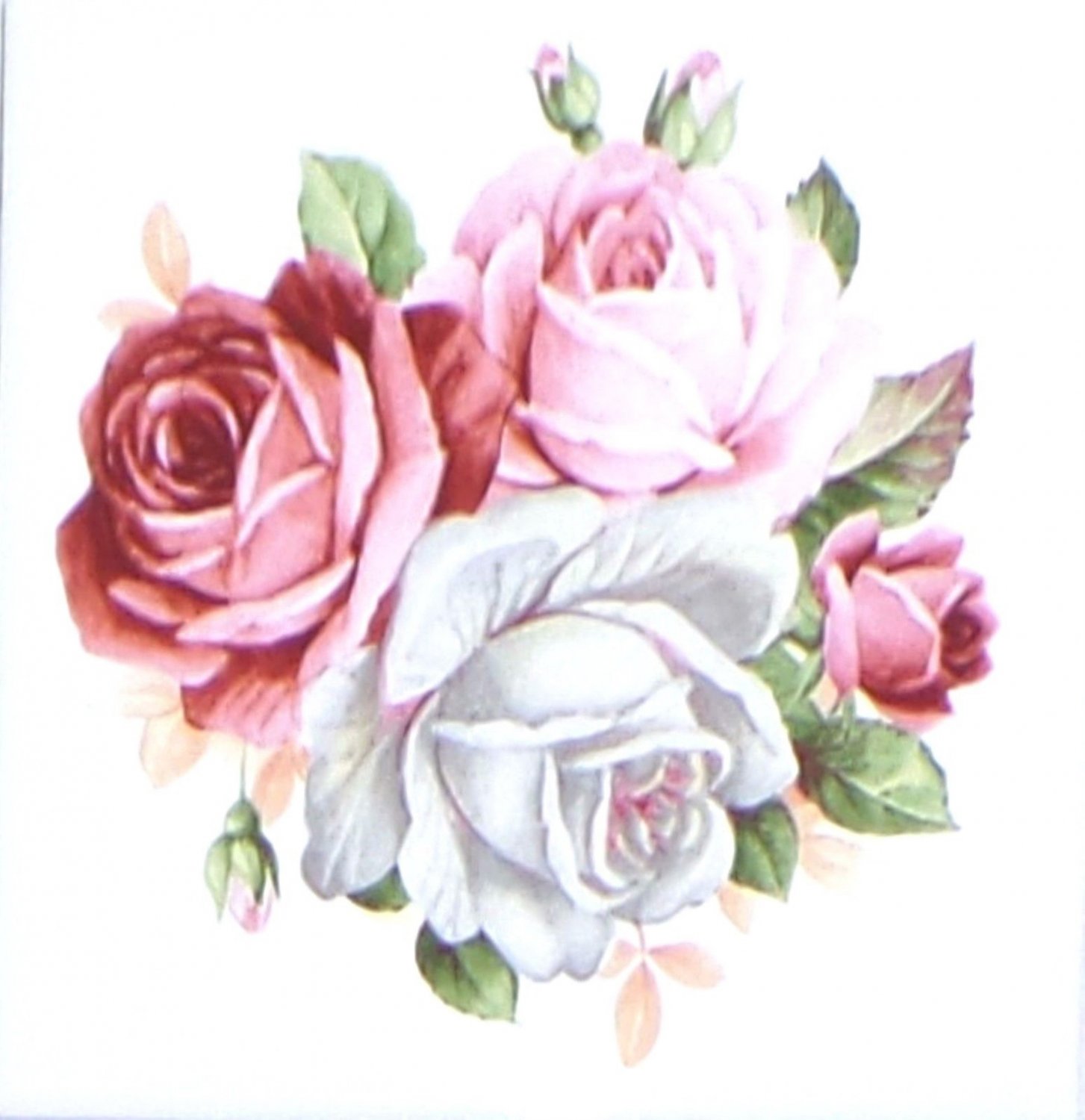 Summer Bloom Roses Flower Pink Ceramic Tile 4.25" x 4.25" Kiln Fired Decor