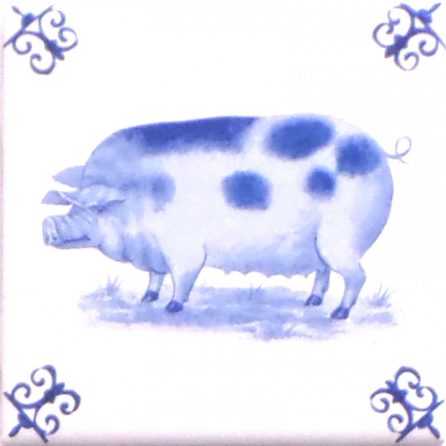 Blue Pig Ox Tail Ceramic Tile Accent Kiln Fired Back Splash Delft 4.25" x 4.25"