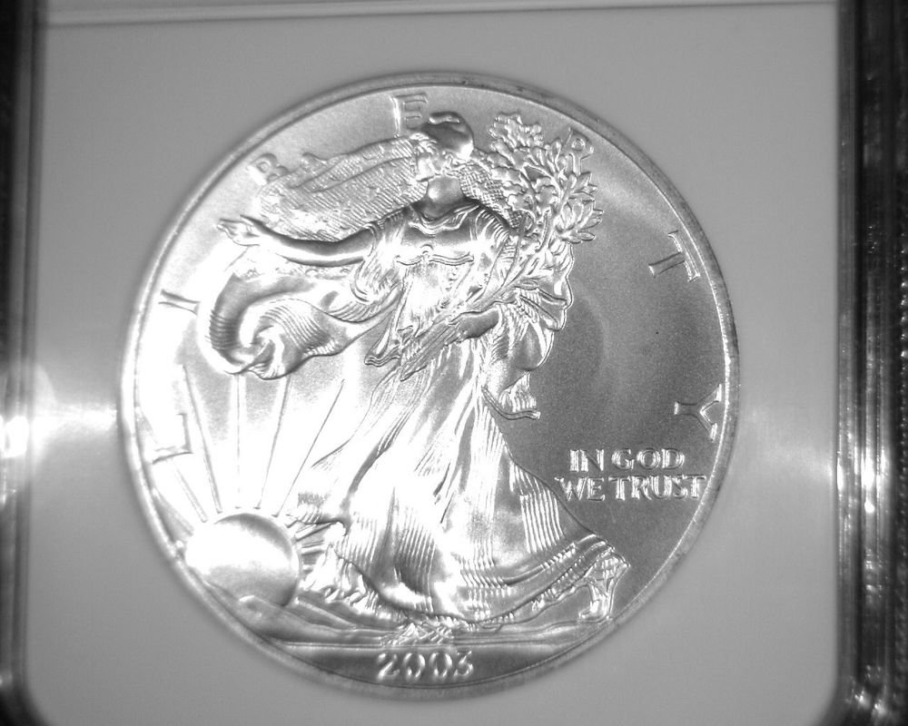Silver American Eagle Bullion Coin 2003 NGC MS69 $1 One Full Ounce .999 fine