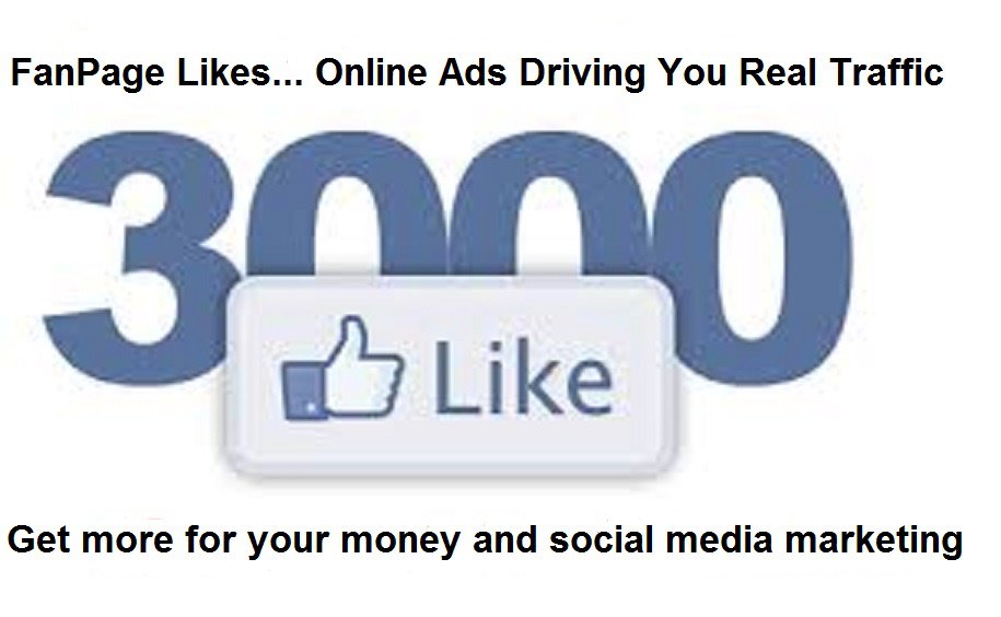 Real Facebook Fan Page Likes 1200+ For $4.95