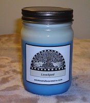 12oz. Soy Jar Candle