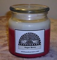 18oz Soy Apothecary Candle