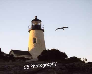 Pemaquid Lighthouse (pemaquid 003) - 8 x 10 Matted Photograph