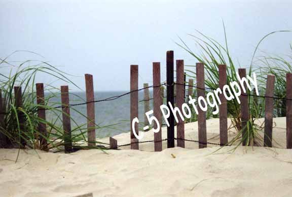 Beach Dune Fence (Beach 005) - 8 x 10 Matted Photograph