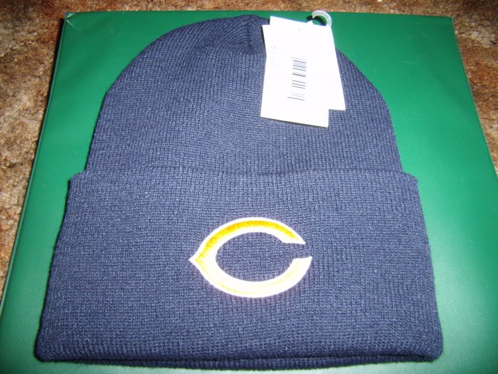 Bear's Beanie