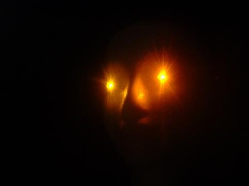 AC (Plugin) Powered LEDs ORANGE spooky Halloween LED Eyes