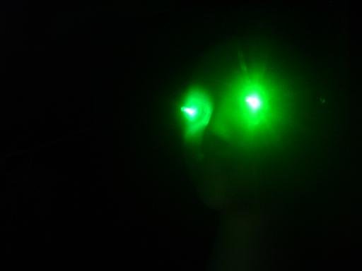 GREEN LEDs Spooky Halloween LED Eyes