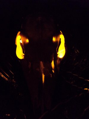 NEW!! YELLOW LEDs Spooky Halloween LED Eyes