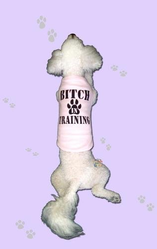 Bitch Graphic Tee