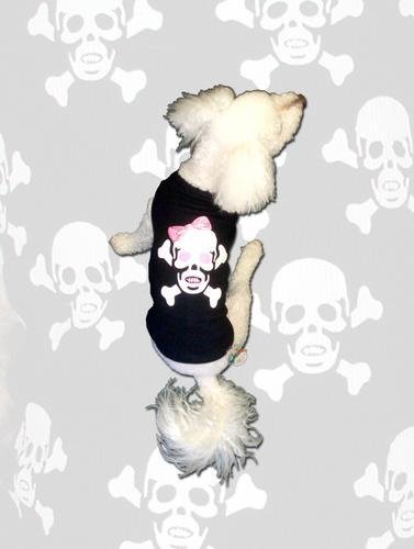 Skull Graphic Tee (Girl)